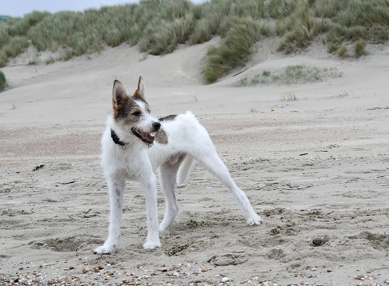 1 -- Felix Holland 6 - 2013 _SAM_2193 als Smart-Objekt-1 Kopie.jpg